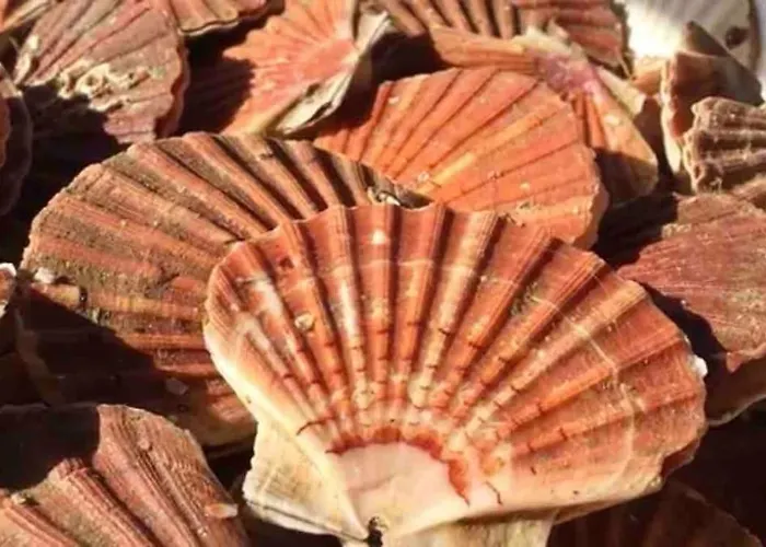 La Maison De Pierre * Port-en-Bessin-Huppain